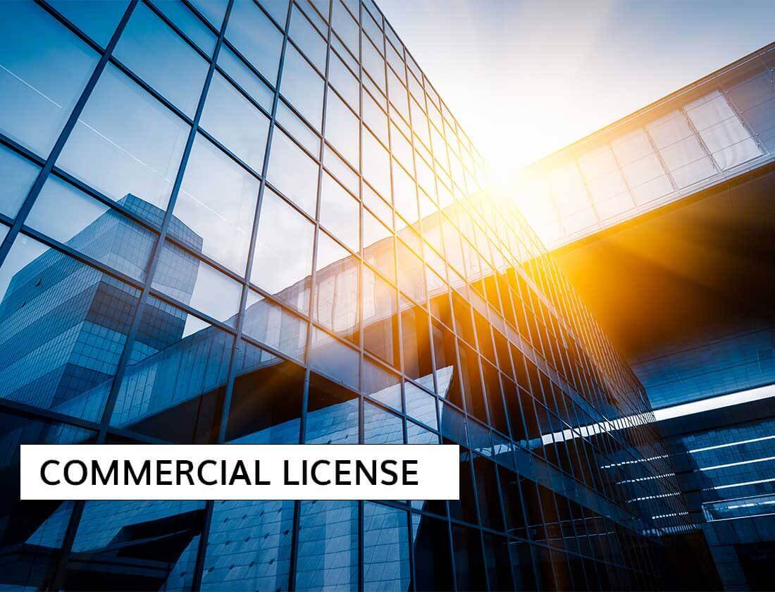 Dubai trade license types explained