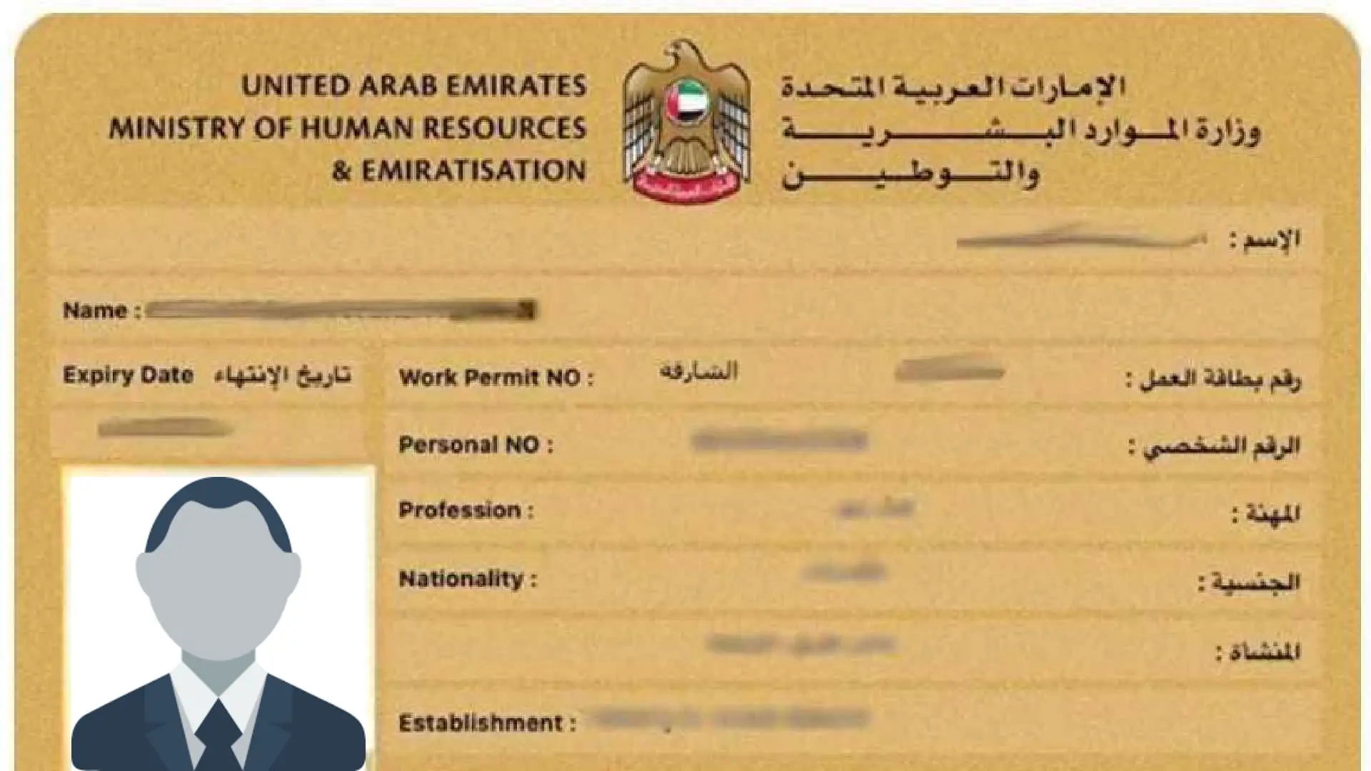 UAE employment visa services