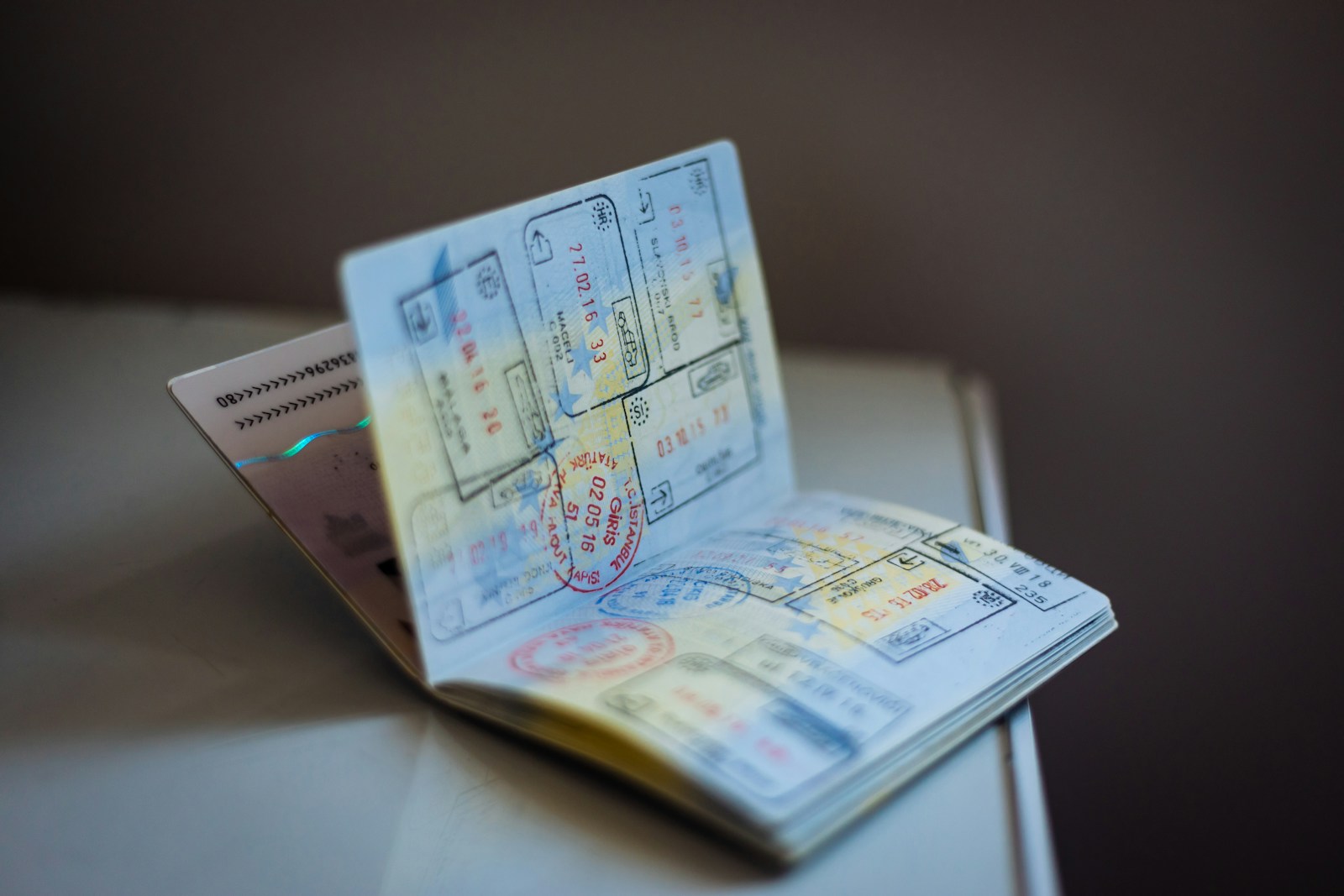 Visa and Immigration Support in Dubai